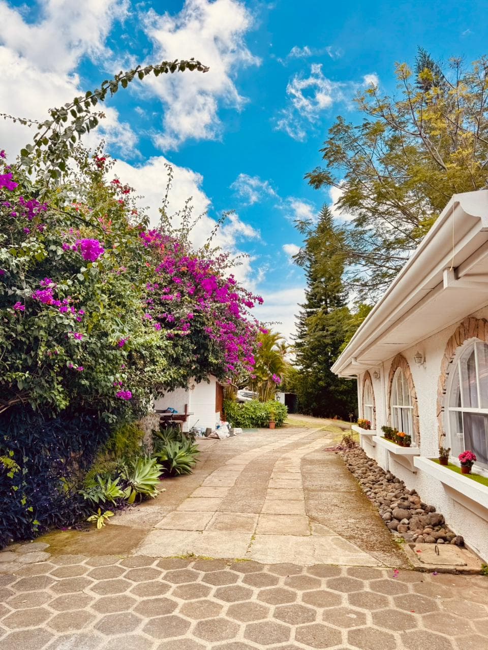 Casa Completa